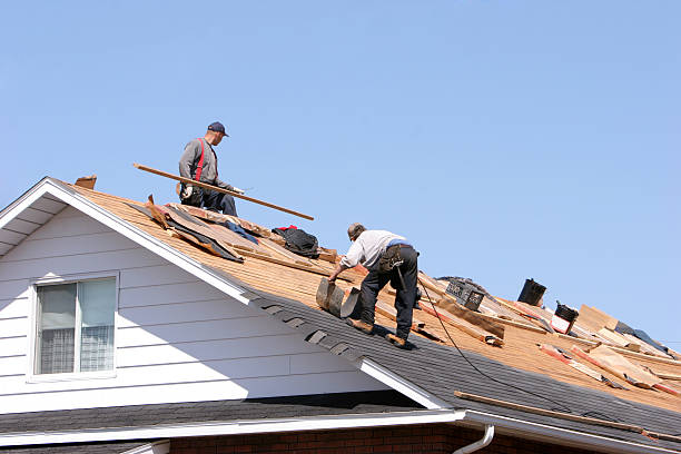 Best Asphalt Shingle Roofing  in Mccrory, AR
